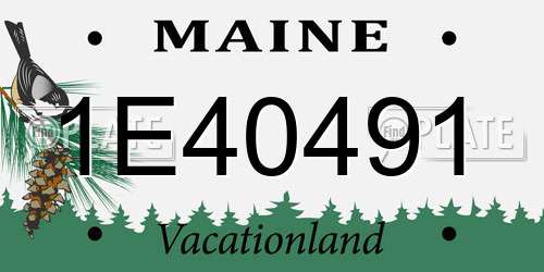 1E40491 Maine License Plate
