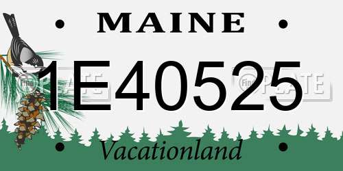 1E40525 Maine License Plate