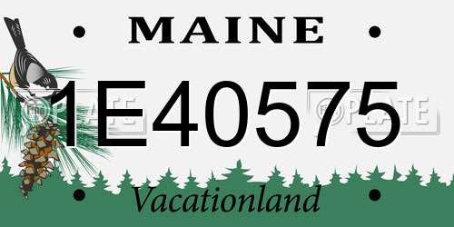 1E40575 Maine License Plate