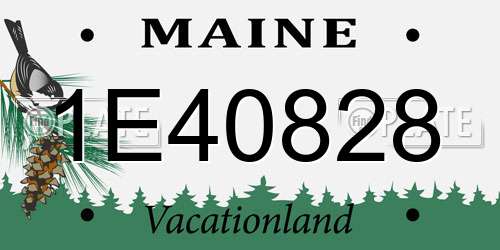 1E40828 Maine License Plate