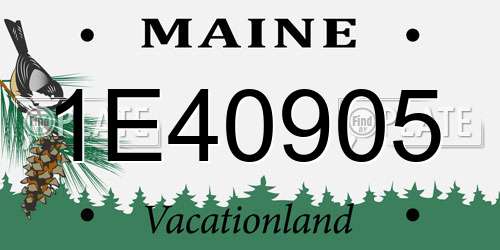 1E40905 Maine License Plate