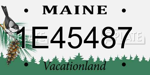 1E45487 Maine License Plate