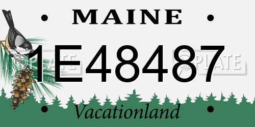 1E48487 Maine License Plate
