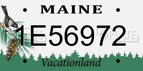 1E56972 Maine License Plate