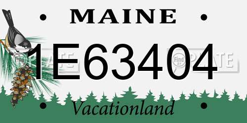 1E63404 Maine License Plate