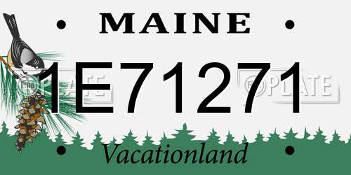 1E71271 Maine License Plate