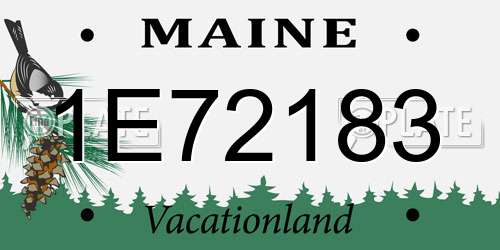 1E72183 Maine License Plate