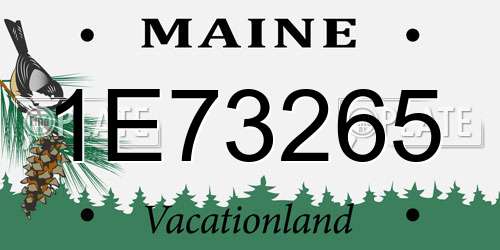 1E73265 Maine License Plate
