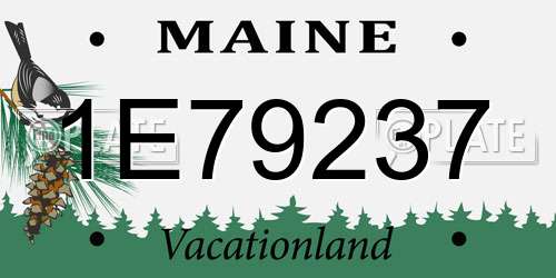 1E79237 Maine License Plate