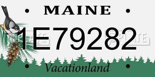 1E79282 Maine License Plate