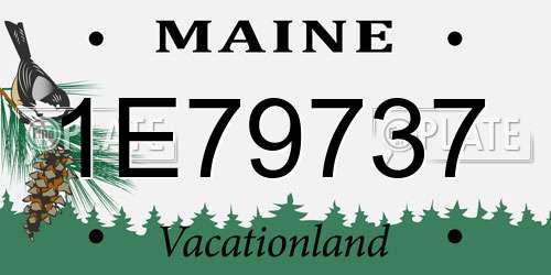 1E79737 Maine License Plate
