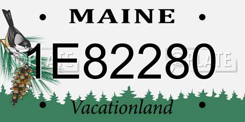 1E82280 Maine License Plate