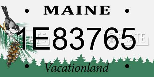 1E83765 Maine License Plate