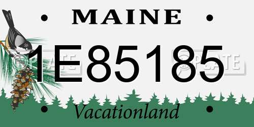 1E85185 Maine License Plate