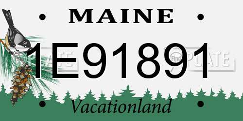 1E91891 Maine License Plate