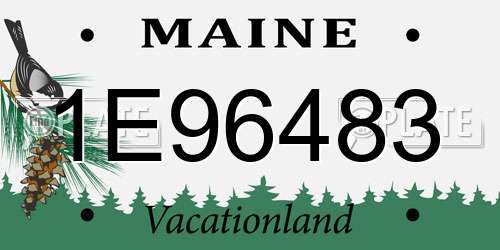 1E96483 Maine License Plate