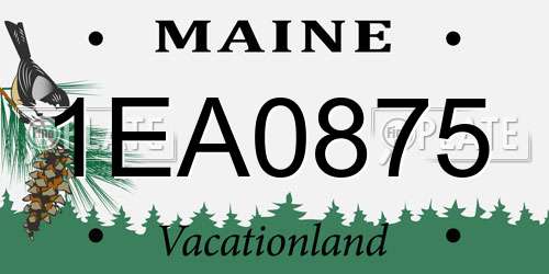 1EA0875 Maine License Plate