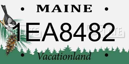 1EA8482 Maine License Plate