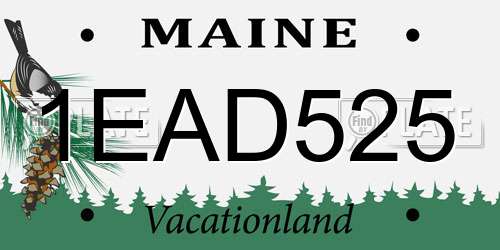 1EAD525 Maine License Plate