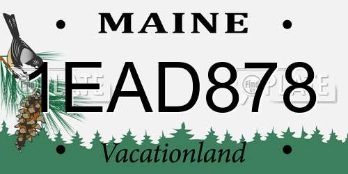 1EAD878 Maine License Plate