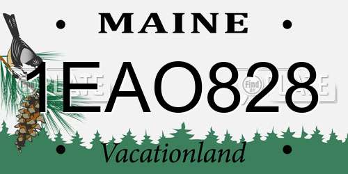 1EAO828 Maine License Plate