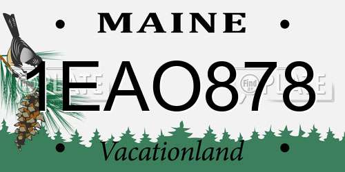 1EAO878 Maine License Plate