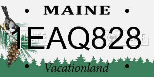 1EAQ828 Maine License Plate