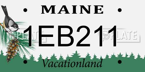 1EB211 Maine License Plate