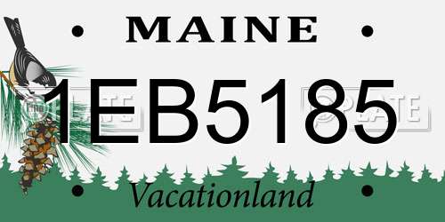 1EB5185 Maine License Plate