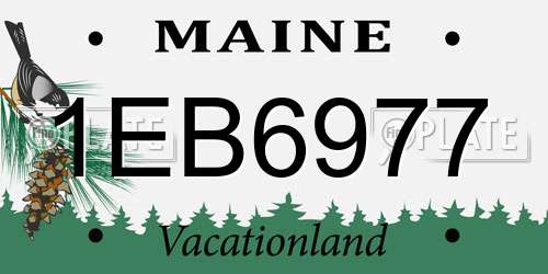 1EB6977 Maine License Plate