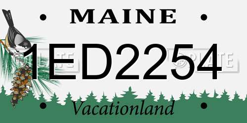 1ED2254 Maine License Plate