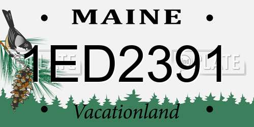 1ED2391 Maine License Plate