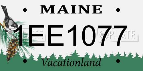 1EE1077 Maine License Plate