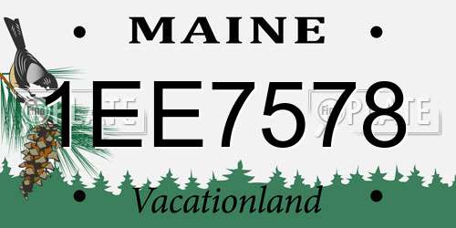 1EE7578 Maine License Plate