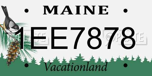 1EE7878 Maine License Plate