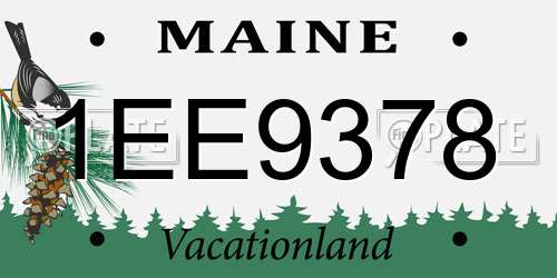 1EE9378 Maine License Plate