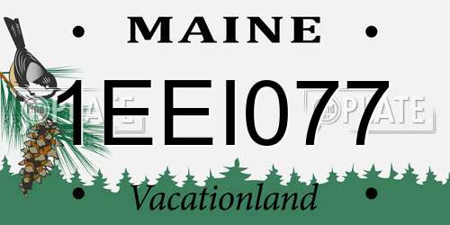 1EEI077 Maine License Plate