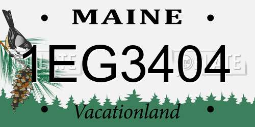 1EG3404 Maine License Plate