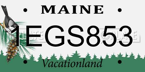 1EGS853 Maine License Plate