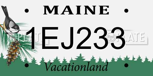 1EJ233 Maine License Plate