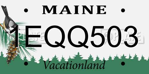1EQQ503 Maine License Plate