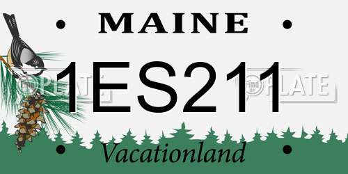 1ES211 Maine License Plate