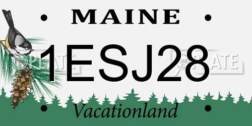 1ESJ28 Maine License Plate