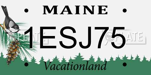 1ESJ75 Maine License Plate