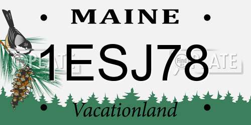1ESJ78 Maine License Plate