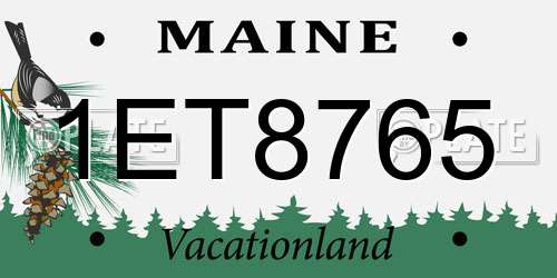 1ET8765 Maine License Plate