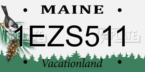 1EZS511 Maine License Plate
