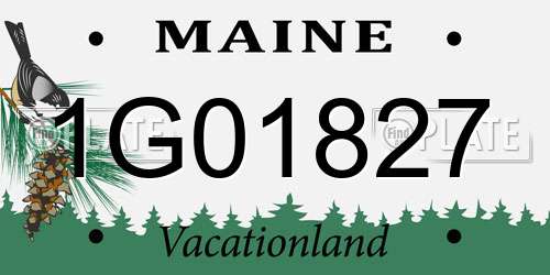 1G01827 Maine License Plate