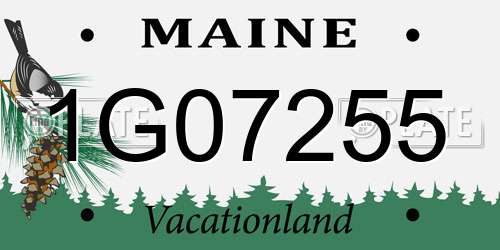 1G07255 Maine License Plate