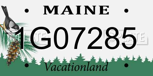 1G07285 Maine License Plate